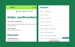 Cocker Spaniel dogs for sale: KC REG Showtype Cocker Spaniel LAST PUP ready 3/8 - Image 32