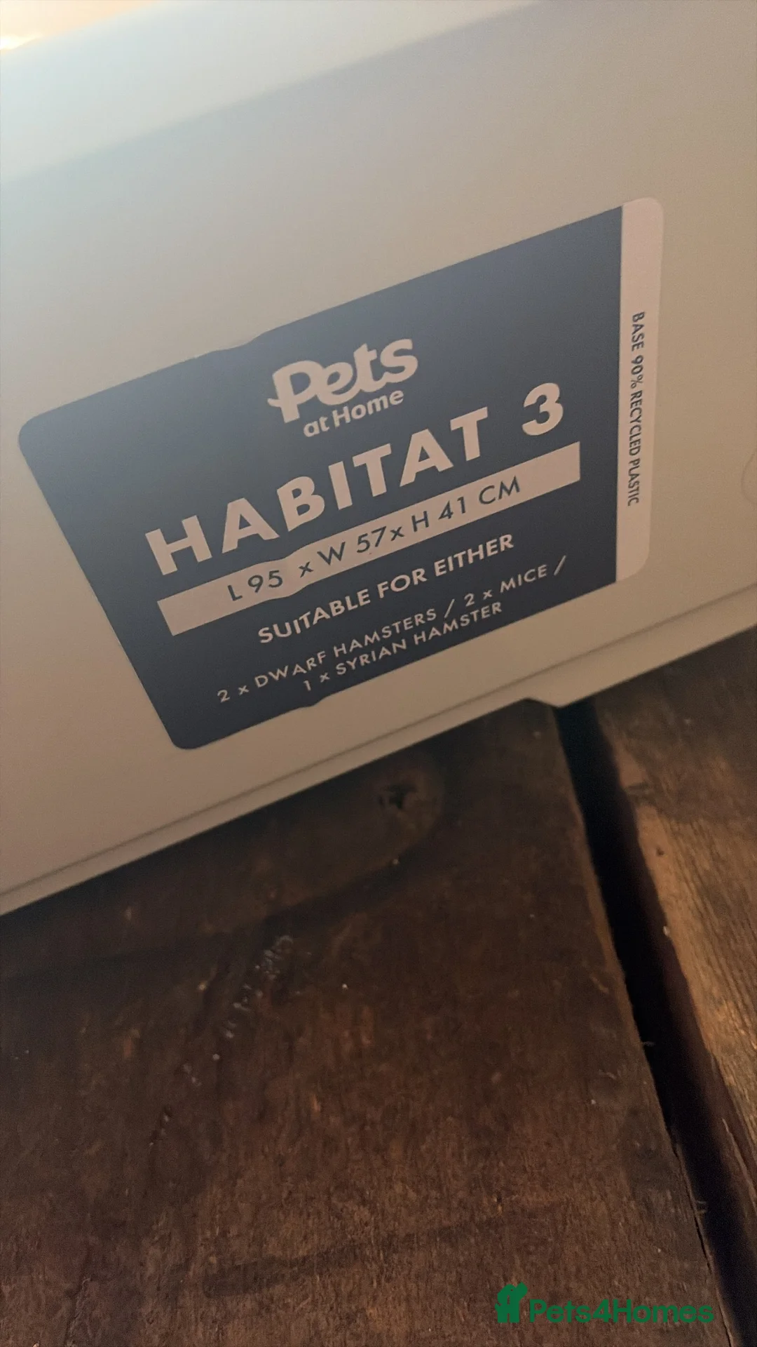 Mixed Breed rabbits for sale: Hamster with cage in Nuneaton - Advert 3