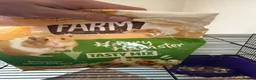 Hamster rodents for sale: Gorgeous Female Hamster Available in Leatherhead - Advert 9