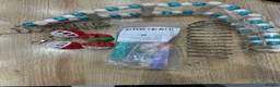 Conures birds for sale: Rare Rose crown Conure - Advert 3