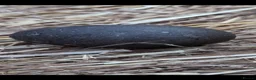 Ducks poultry for sale: Cayuga duck hatching eggs x 30  in Blackwood - Advert 2