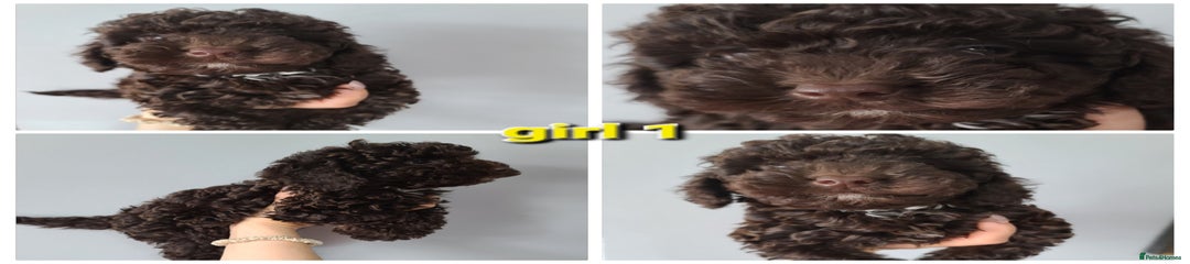 Girl 1