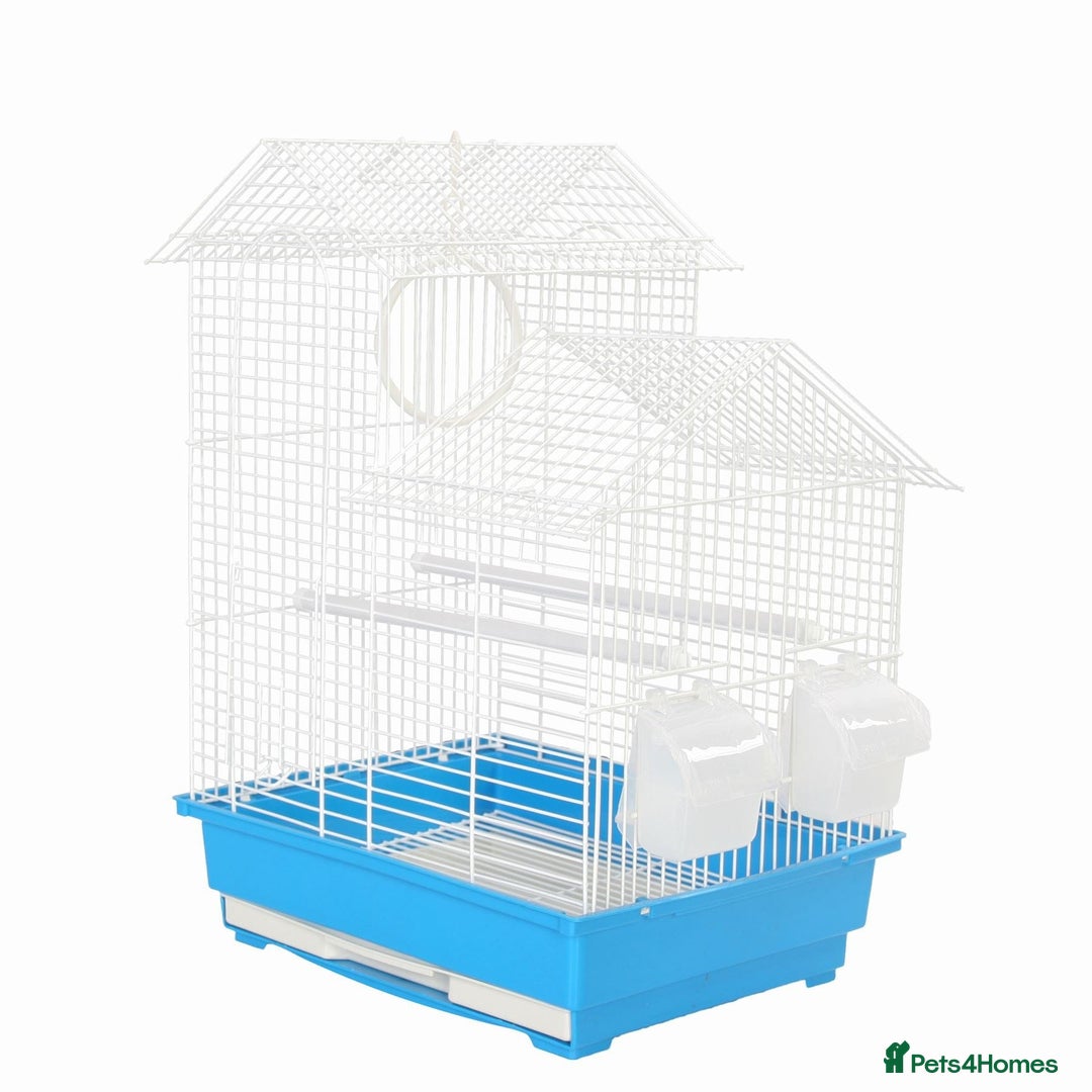Budgerigars birds for sale: Budgies for Sale Many colours Cages Available  - Image 11