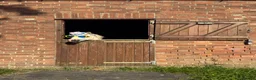 Welsh Section A horses for sale: Pony Club Pony - Advert 4