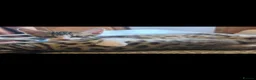 Bengal cats for sale: Beautiful Bengal cross boy - Advert 12