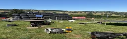 Goats livestock for sale: Pygmy goat kids - Advert 4