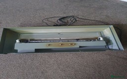 Pufferfish fish for sale: Full set up with red eyed puffers - Image 7