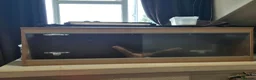 Bearded Dragon reptiles for sale: BabyBearded DragonsHighContrastHypoMorphsHet Zero) - Advert 4