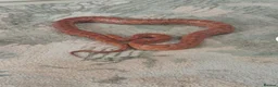 Corn Snake reptiles for sale: 2.5 year male corn snake and vivarium - Advert 3