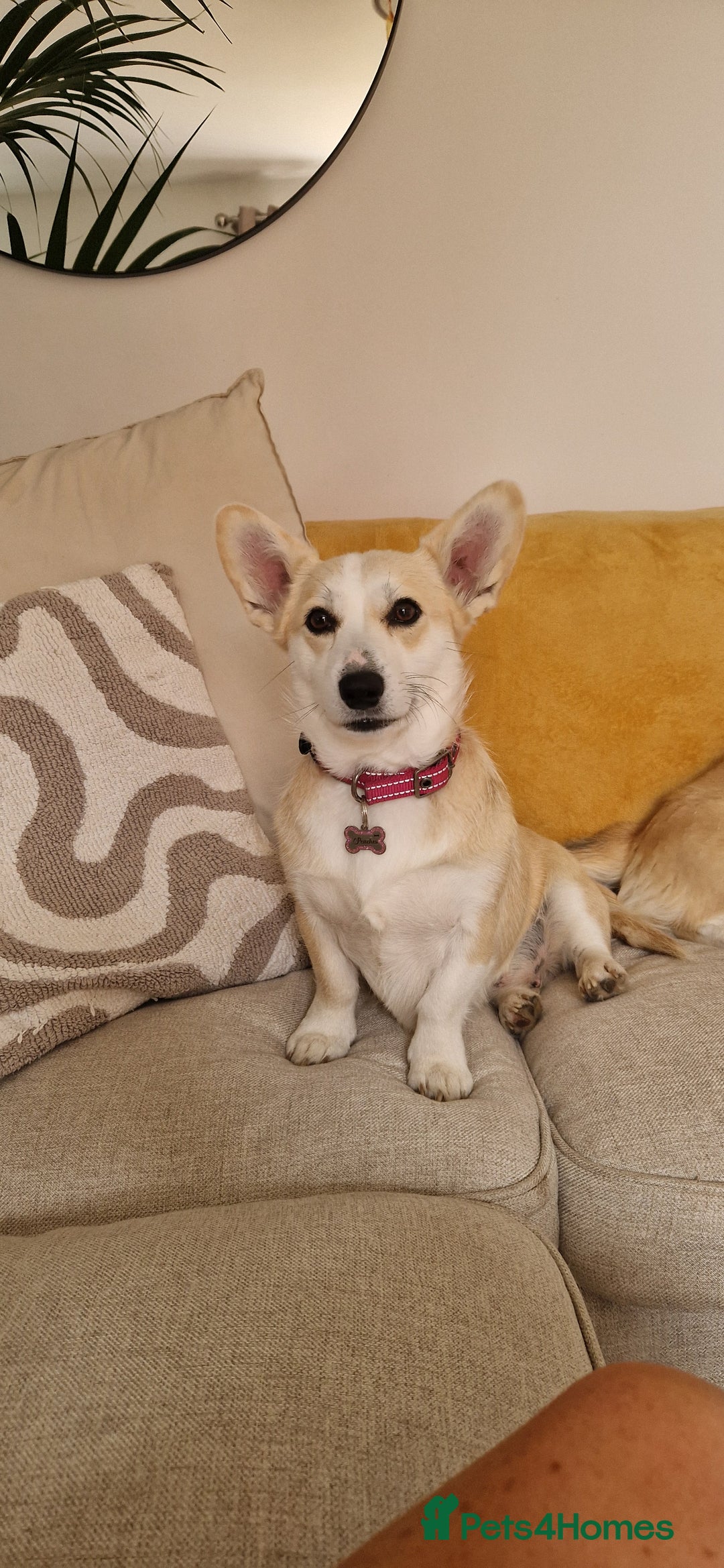 Gallery Image {{count}}