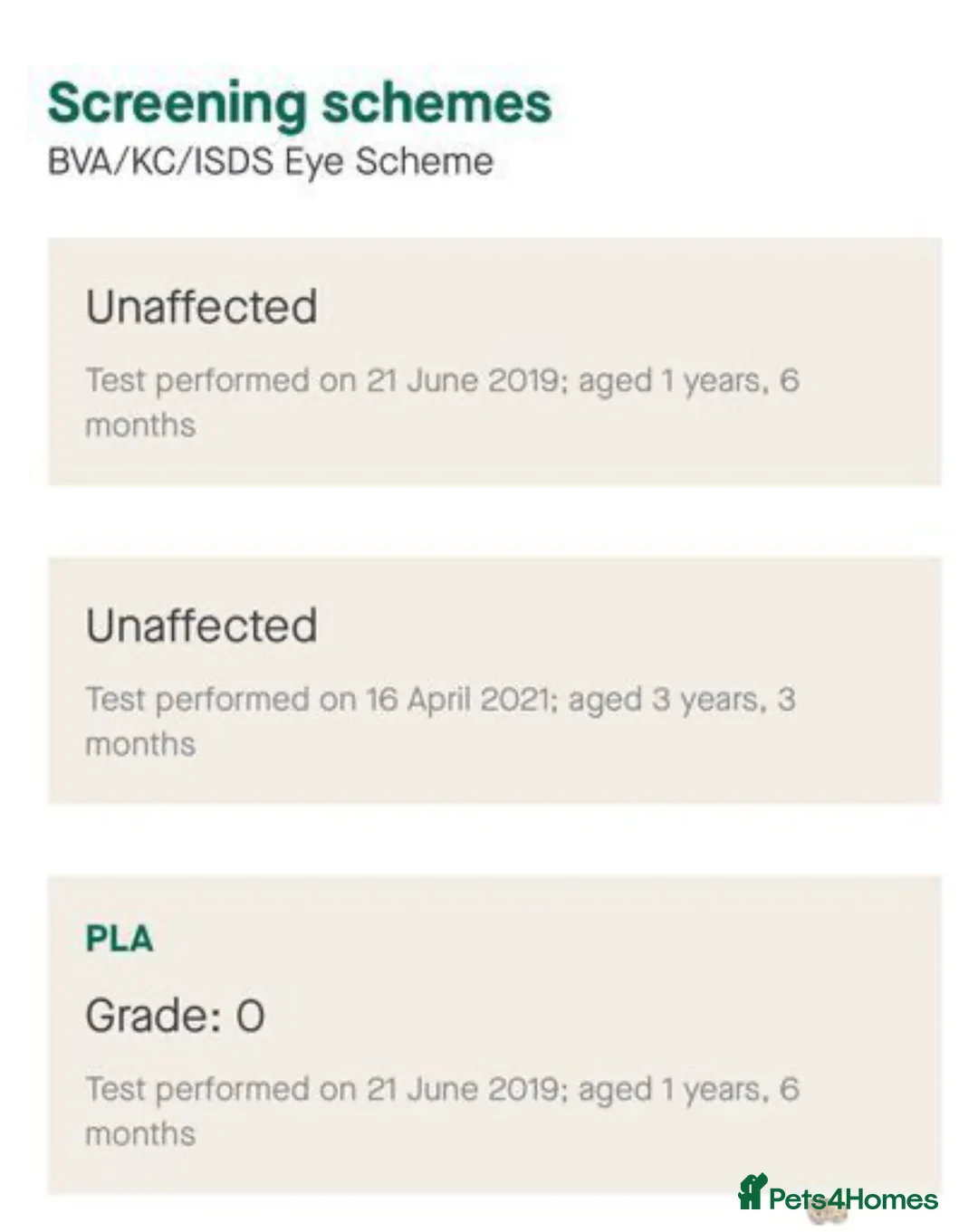 Cocker Spaniel dogs for stud: *Mungo* GOLDEN Show Cocker PEDIGREE BEST TESTED in Bradford-on-Avon - Advert 12