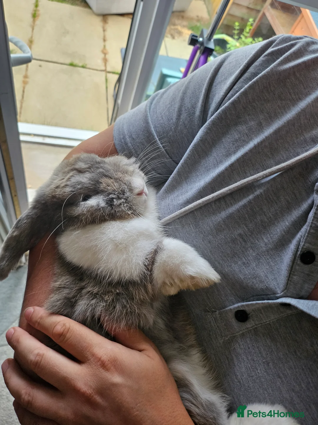 Gallery Image {{count}}