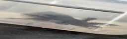 Axolotl reptiles for sale: Axolotl juveniles  - Advert 6