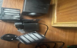 Goldfish fish for sale: Variety of fish and tank for sale in Cheltenham - Image 2