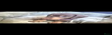 Miniature Dachshund 4