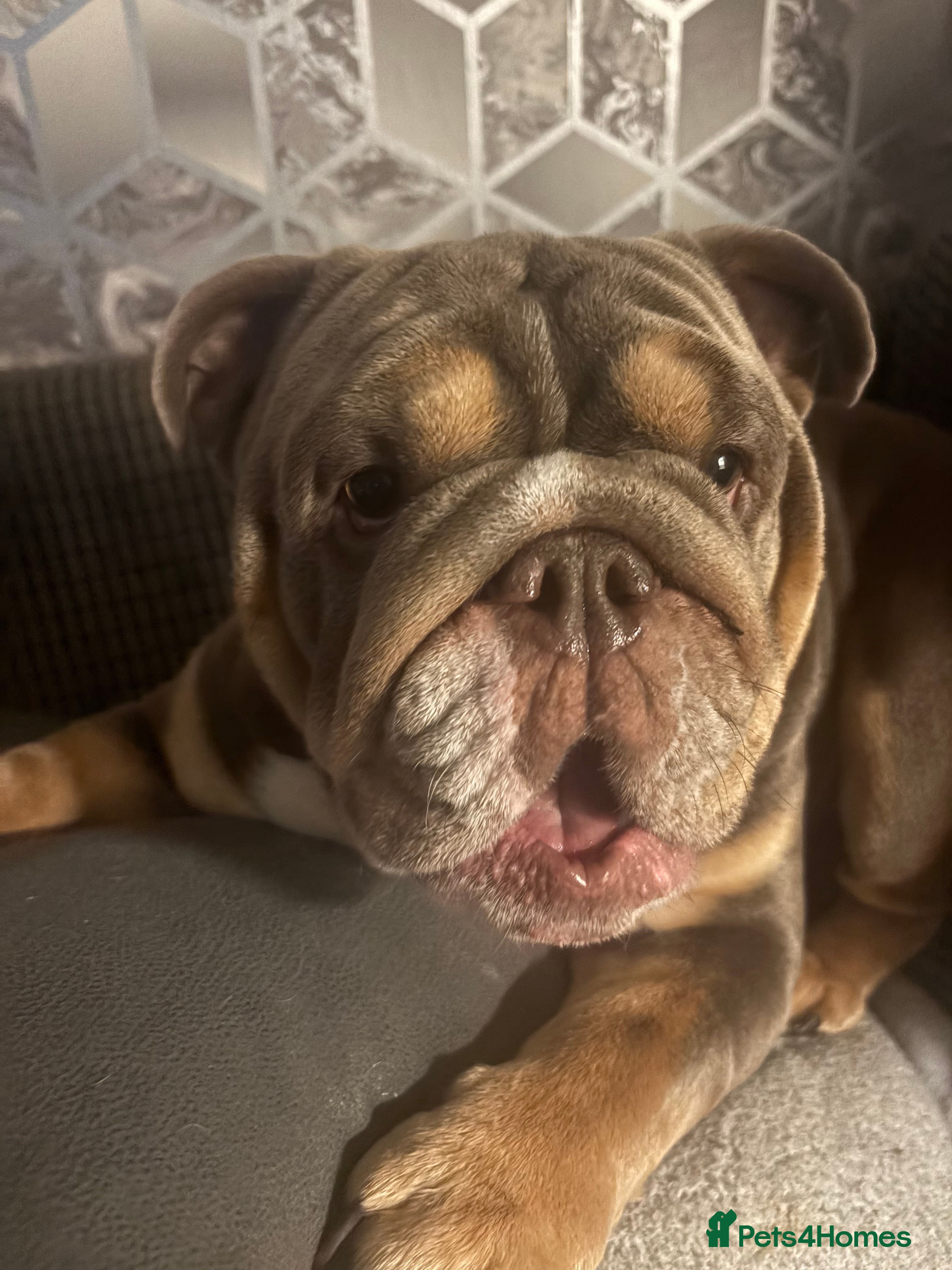 Reggie
