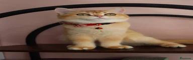 Evan