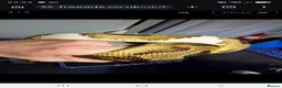 Snake reptiles for sale: Royal Ball Python in Hull - Advert 4