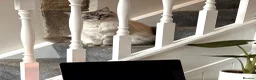Ragdoll cats for sale: Beautiful Ragdoll Boy Looking For Forever Home. - Advert 2