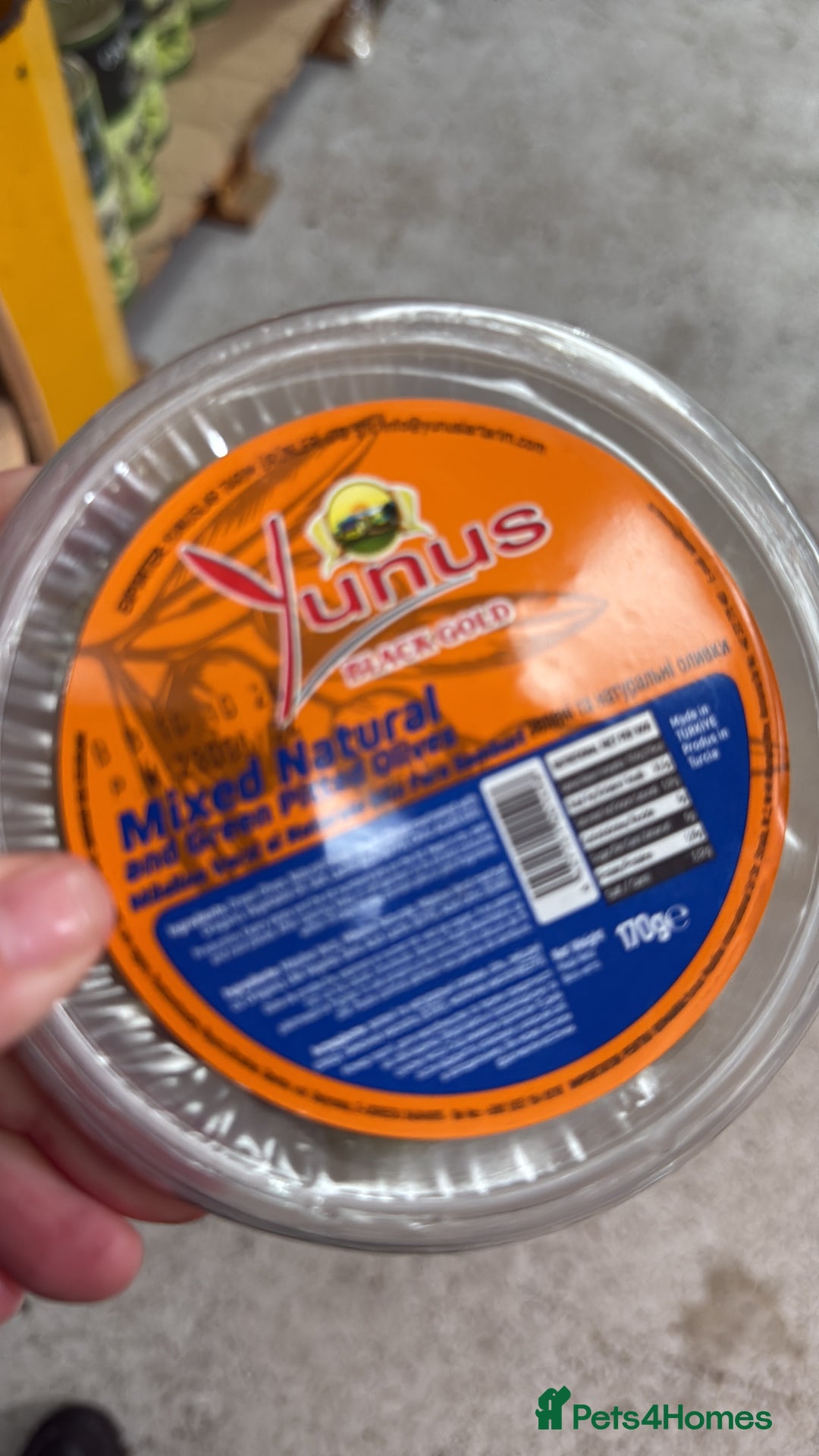 Akita dogs for sale: Akita puppy - Advert 16