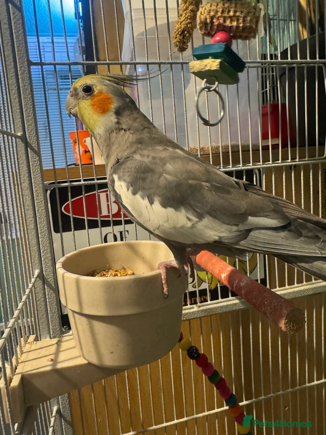 Gallery Image {{count}}