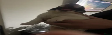 Huskita 5