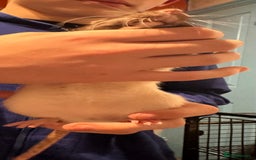 Rat rodents for sale: 2 male rats  - Advert 6