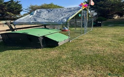Chickens poultry for sale: Complete chicken 🐓 set up 😍 - Image 2