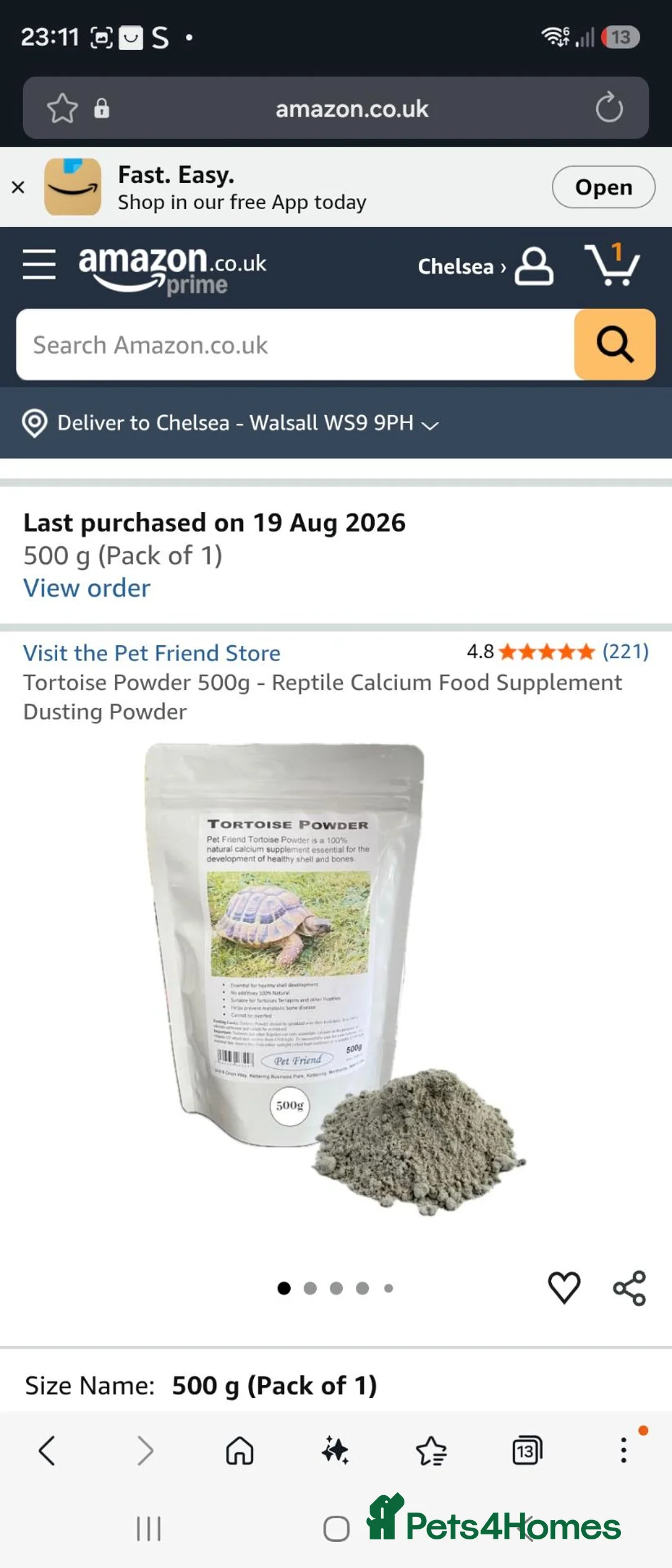 Hermann Tortoise reptiles for sale: Beautiful female tortoise  in Walsall - Advert 15