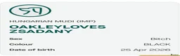 Mudi dogs for sale: KC registered Hungarian Mudi puppies  - Advert 34
