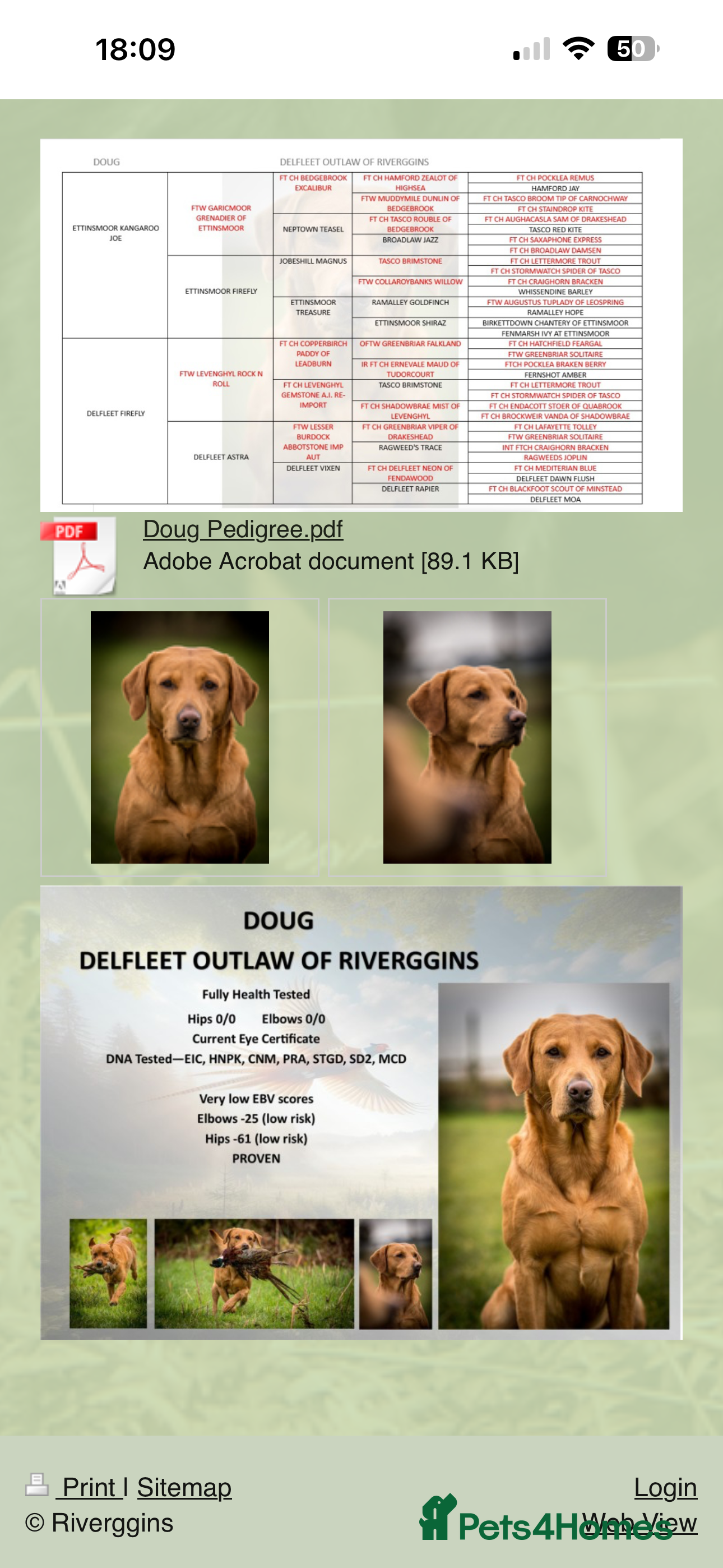 Doug