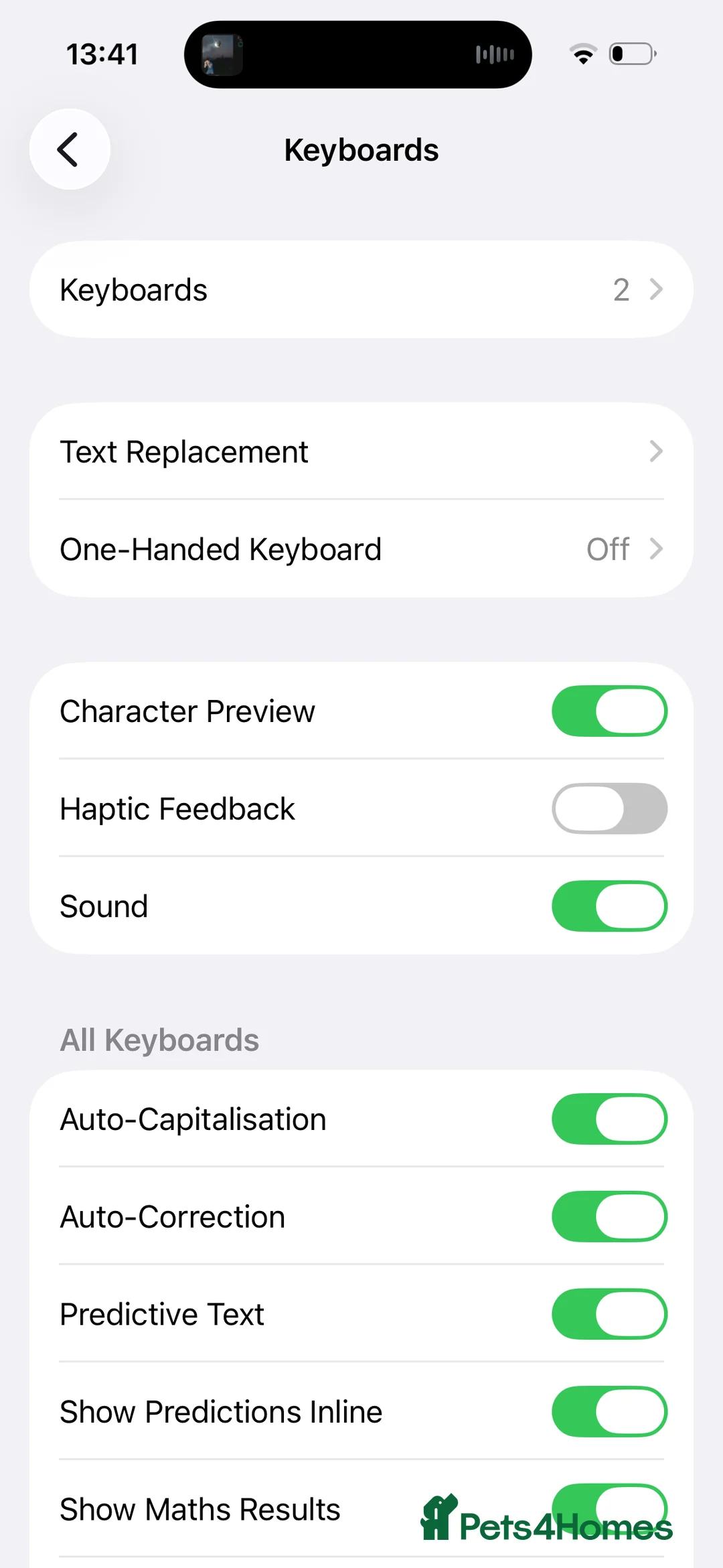 Labradoodle dogs for sale: F2bb labradoodle  - Advert 25