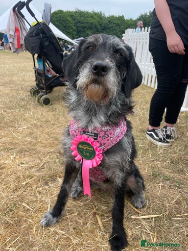 Gallery Image {{count}}