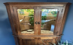 Finches birds for sale: Solid Oak Avairy - Image 2