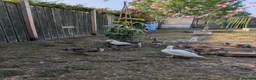 Ducks poultry for sale: Miniature silver appleyards  - Advert 1
