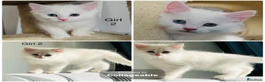 Girl 2