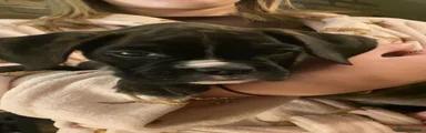 Smudge