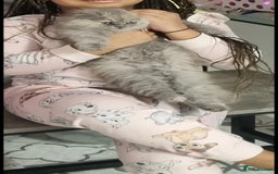 Persian cats for sale: Persian mixed breed  - Image 14