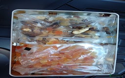 Macaws birds for sale: Blue & Gold Macaw For Sale - Image 14