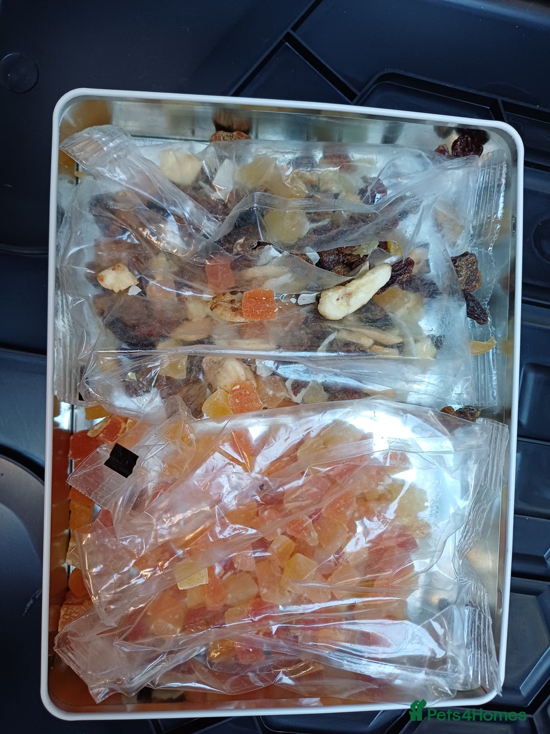 Macaws birds for sale: Blue & Gold Macaw For Sale - Image 14