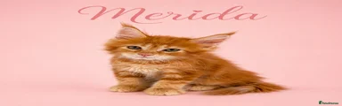 Merida