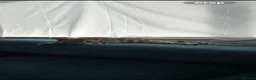 Bengal cats for sale: TICA Show winning 🏆 cattery  - Advert 7
