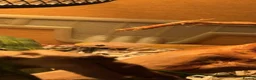 Corn Snake reptiles for sale: Corn snake (comes with everything) - Advert 2