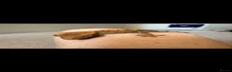 Gecko reptiles for sale: Crested gecko babies  - Advert 8