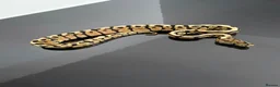 Python Snake reptiles for sale: Regius pythons/ ball pythos - Advert 9