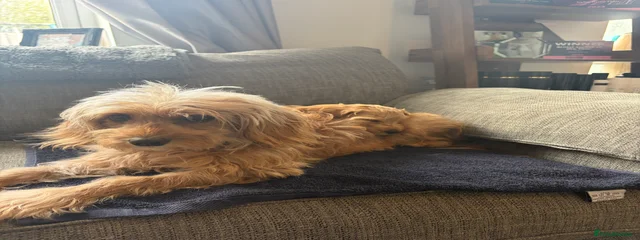 Narla