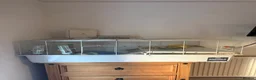Hamster rodents for sale: Hamster and cage for sale  in Folkestone - Advert 4