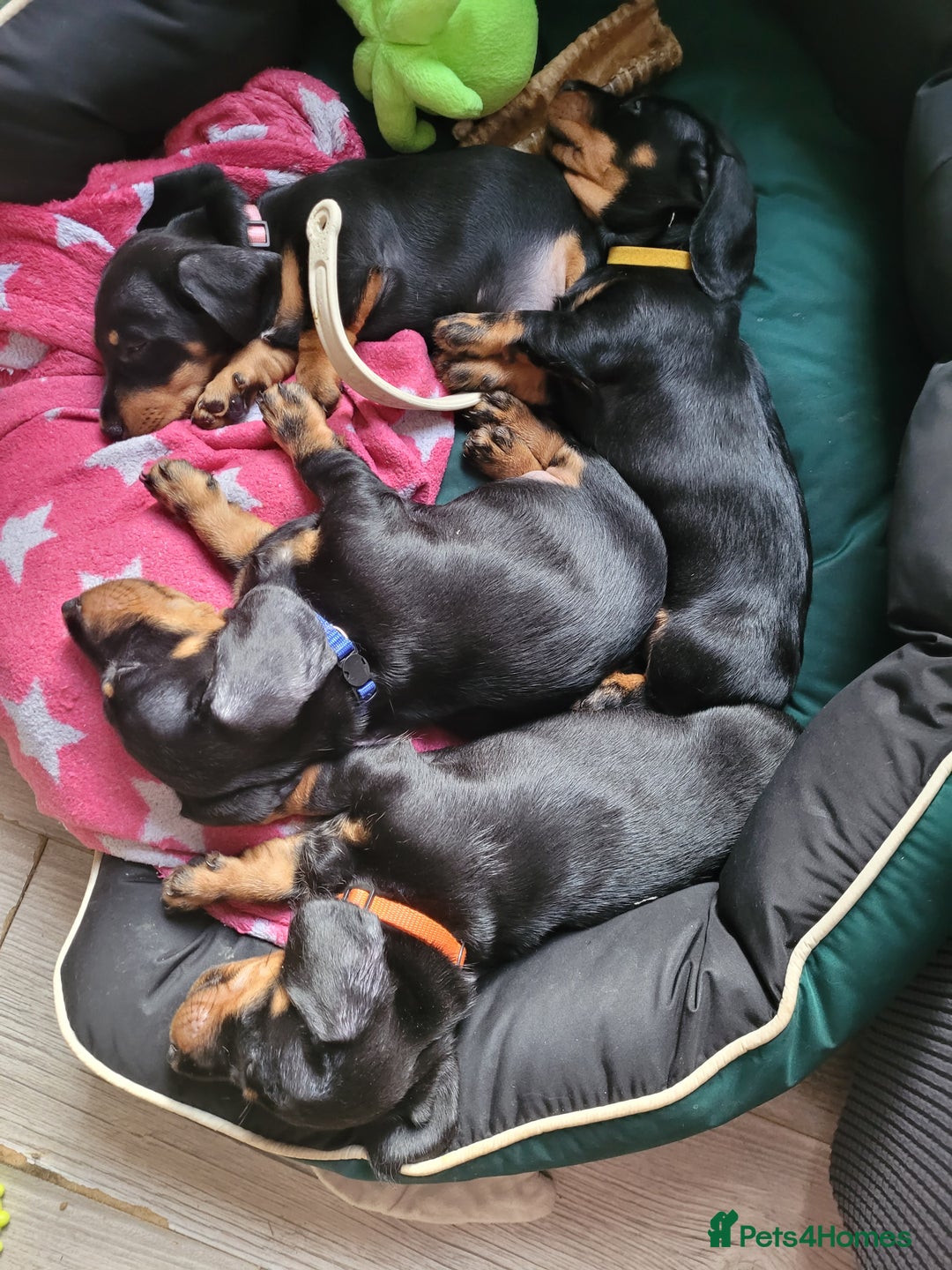 Gallery Image {{count}}