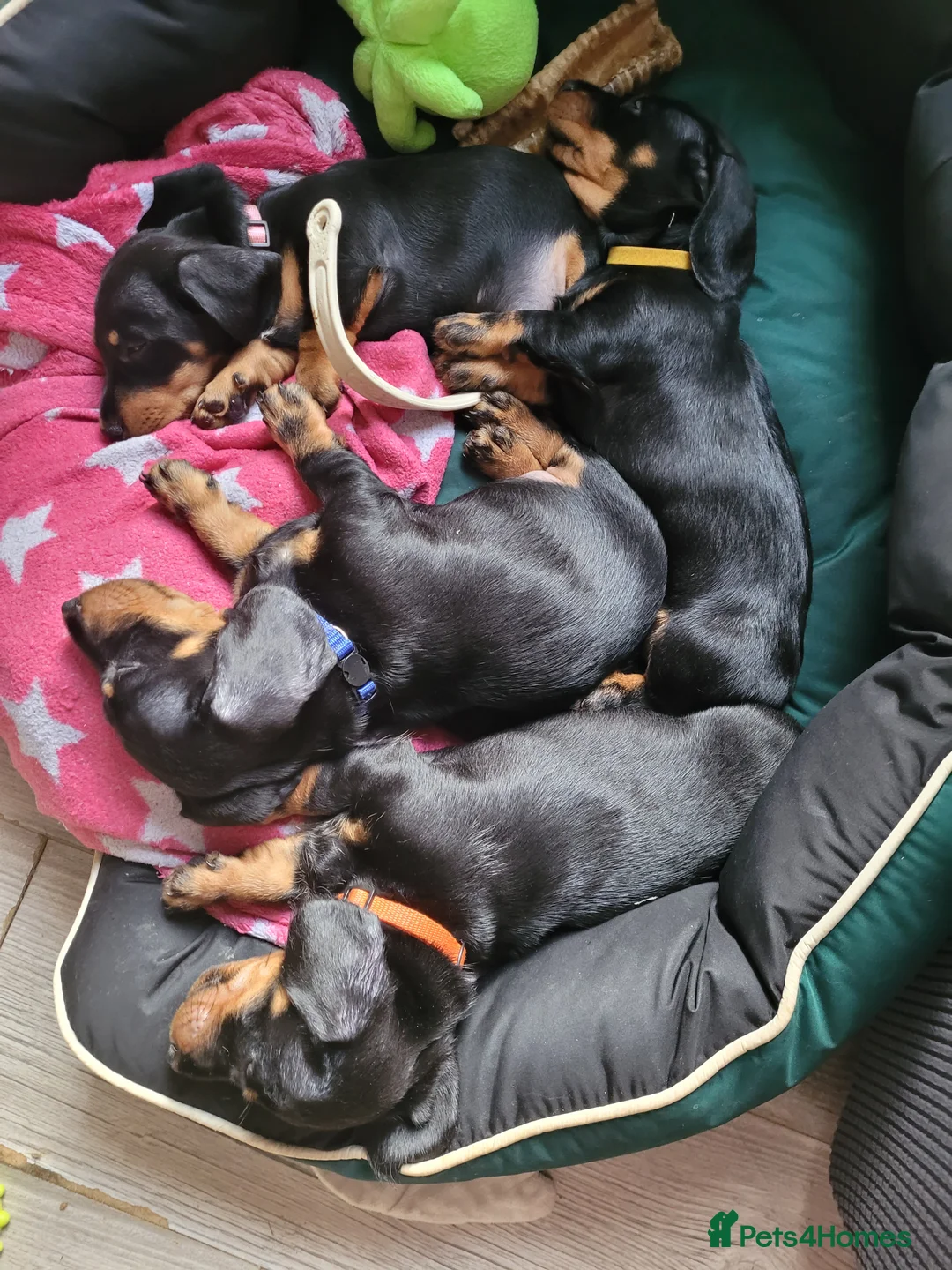 Gallery Image {{count}}