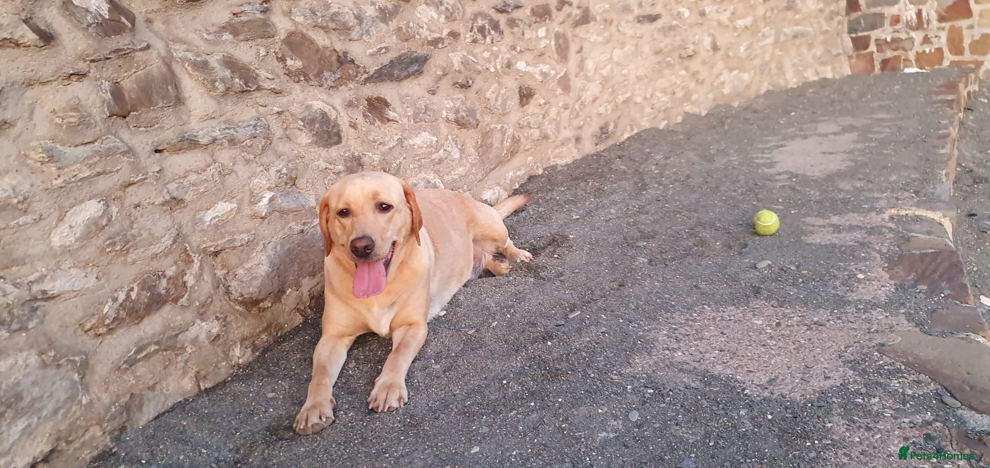 Athena